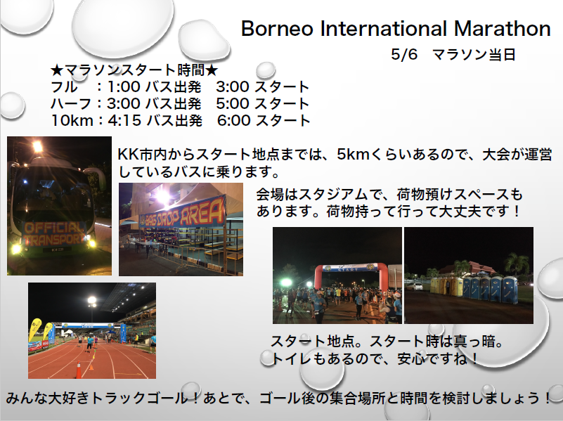 Borneo International 2